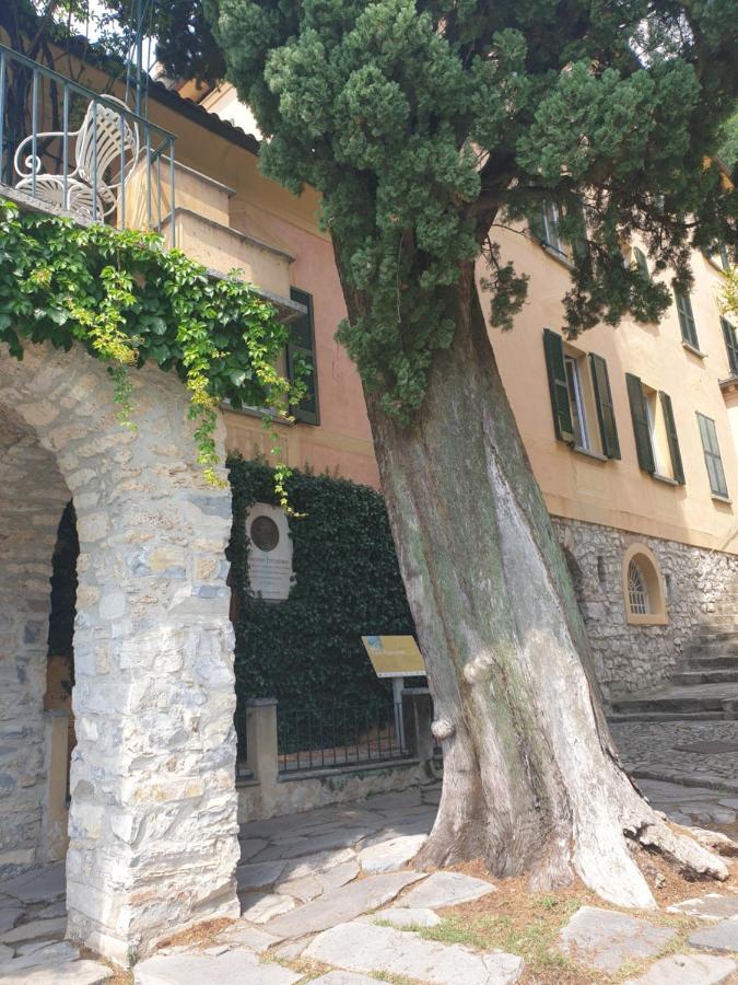 Caffe Del Viaggiatore Valsolda Екстер'єр фото